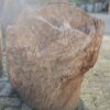 Memorial stone petrified wood 50093