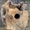 Memorial stone petrified wood 50093