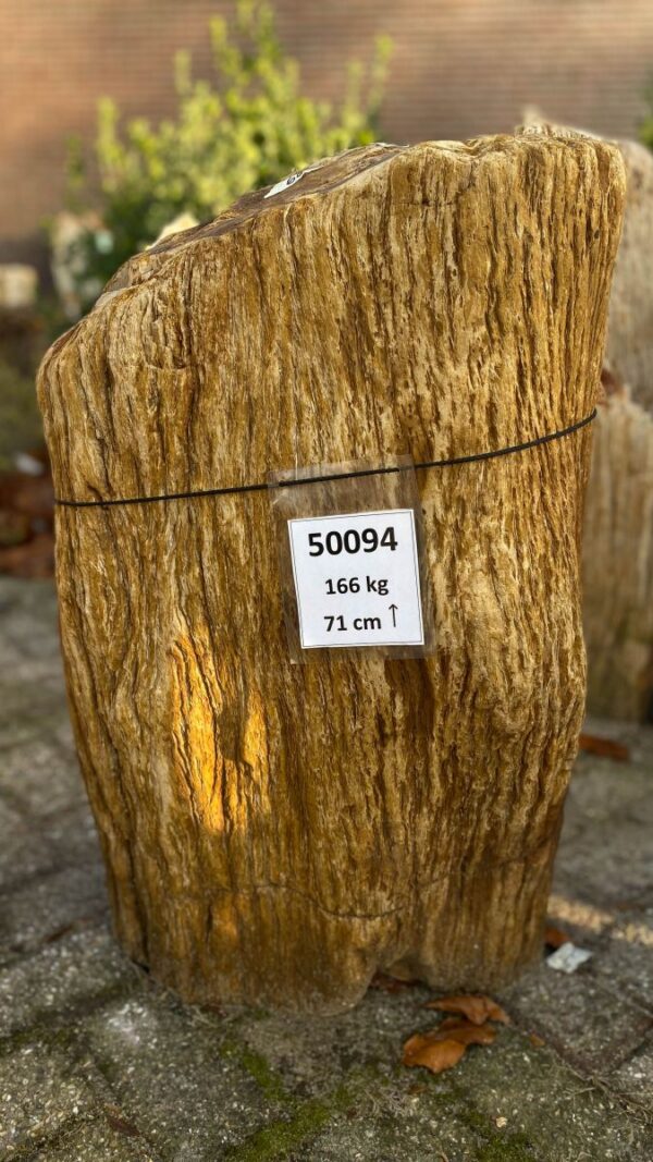 Memorial stone petrified wood 50094
