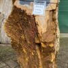 Memorial stone petrified wood 50111