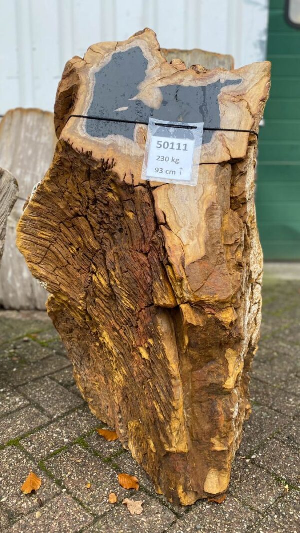 Memorial stone petrified wood 50111
