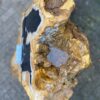 Memorial stone petrified wood 50111