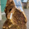 Memorial stone petrified wood 50111