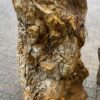Memorial stone petrified wood 50111