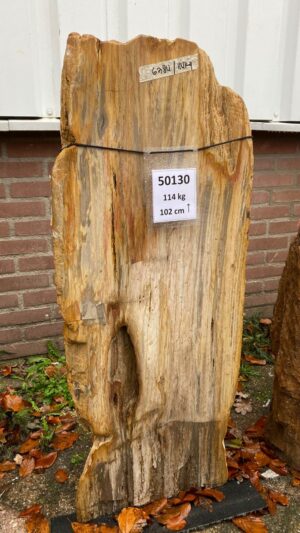 Memorial stone petrified wood 50130
