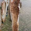 Memorial stone petrified wood 50133