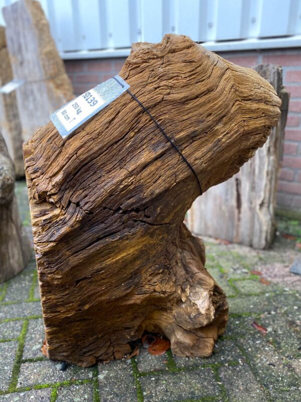 Memorial stone petrified wood 50139