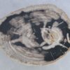 Salontafel versteend hout 44153