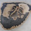 Salontafel versteend hout 49262