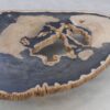 Salontafel versteend hout 49262