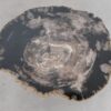 Salontafel versteend hout 49353d