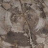 Salontafel versteend hout 50188