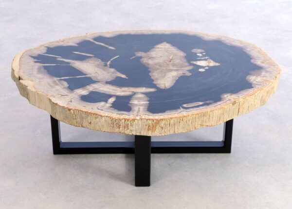 Table basse bois pétrifié 44152