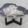 Table basse bois pétrifié 49235