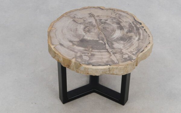 Table basse bois pétrifié 50188