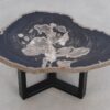 Table basse bois pétrifié 50304