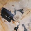Waschbecke versteinertes Holz 50207