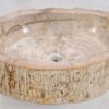 Waschbecke versteinertes Holz 50217
