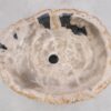 Waschbecke versteinertes Holz 50241