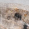 Waschbecke versteinertes Holz 50261