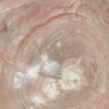 Wash hand basin petrified wood 50228