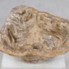 Wash hand basin petrified wood 50237