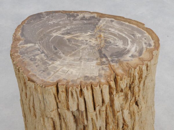 Beistelltisch versteinertes Holz 50033