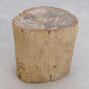 Bijzettafel versteend hout 50033