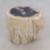 Mesilla madera petrificada 50028
