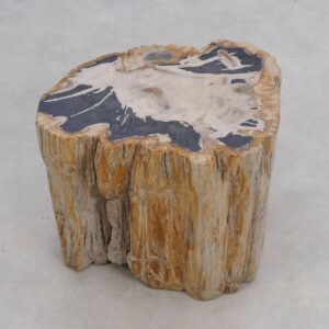 Side table petrified wood 50020