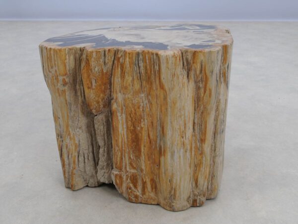 Side table petrified wood 50020