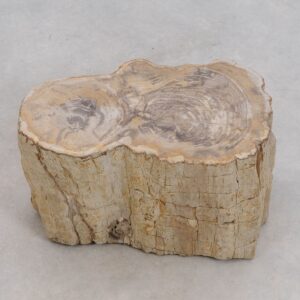 Side table petrified wood 50034