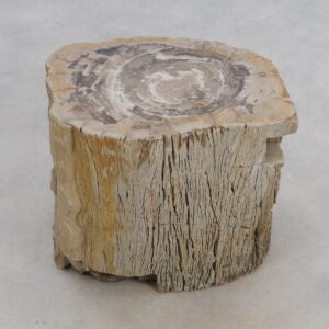 Side table petrified wood 50299