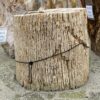 Grabstein versteinertes Holz 34083