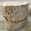 Grabstein versteinertes Holz 34083
