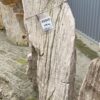 Grabstein versteinertes Holz 45069