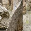 Grabstein versteinertes Holz 45069