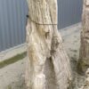 Grabstein versteinertes Holz 45069