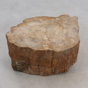 Grabstein versteinertes Holz 51115