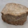 Grabstein versteinertes Holz 51115