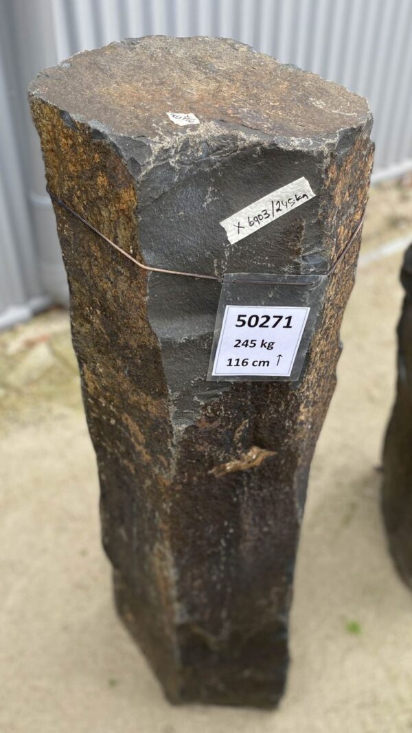 Grabstein versteinertes Holz 50271