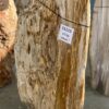 Grabstein versteinertes Holz 51115
