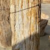 Grabstein versteinertes Holz 51115