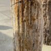 Grabstein versteinertes Holz 51115