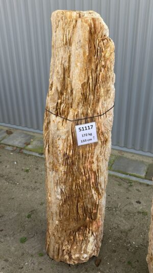 Grabstein versteinertes Holz 51117