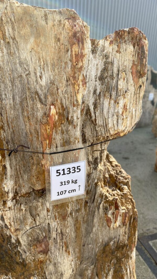 Grabstein versteinertes Holz 51335