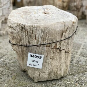 Grafsteen versteend hout 34099