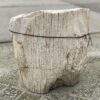Grafsteen versteend hout 34099
