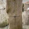 Grafsteen versteend hout 37083