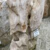 Grafsteen versteend hout 37083